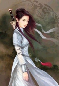 医武兵王陆轩燃文,医武兵王陆轩燃文