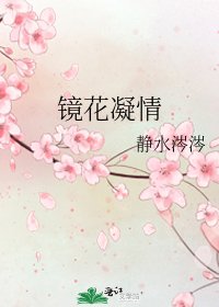 镜花凝情